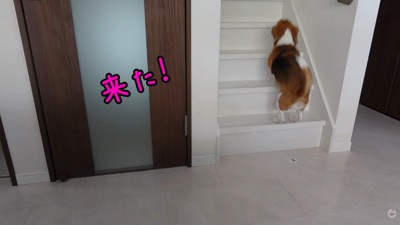 出勤前のママさんとメイちゃん3