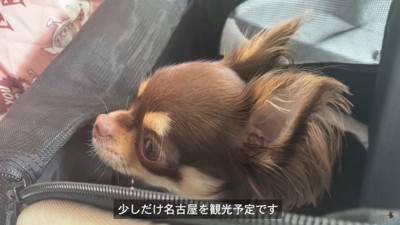 ママさん登場に喜ぶうにちゃん3