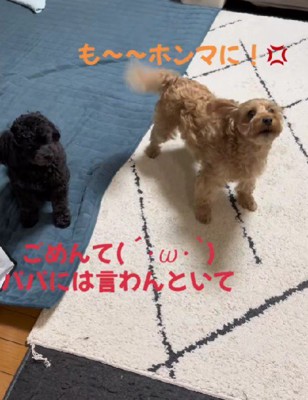 今では仲良しだよ♪