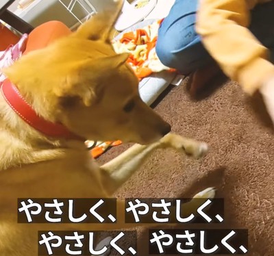 「なるほど！優しくすればいいんだね」