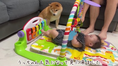 子煩悩なうにちゃん