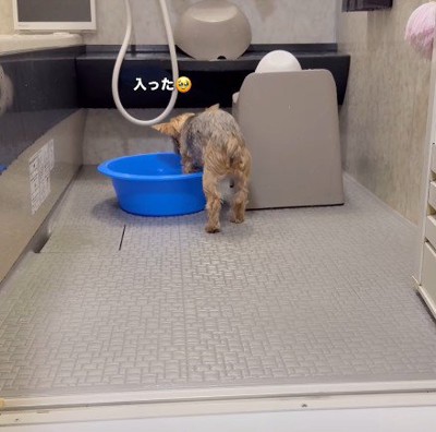 そっと足を入れて…