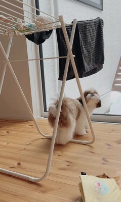 おもちゃを干した時のちゃぽちゃん4