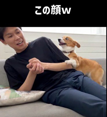 男性の体の上に乗るメスの犬