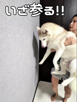 前足が出たら賢い犬