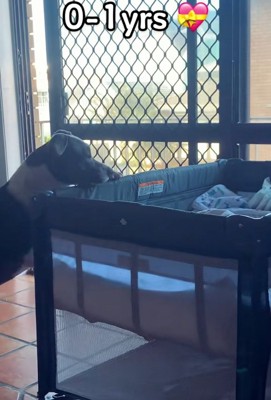 ハリーくんを見守るゆめちゃん