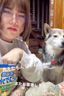 ワンコのオヤツタイム♪