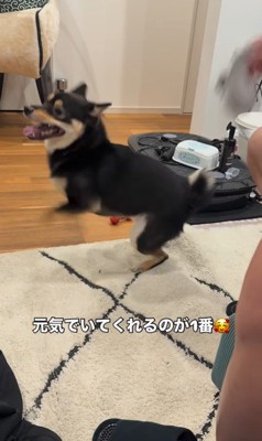 ラムくんの変化⑩