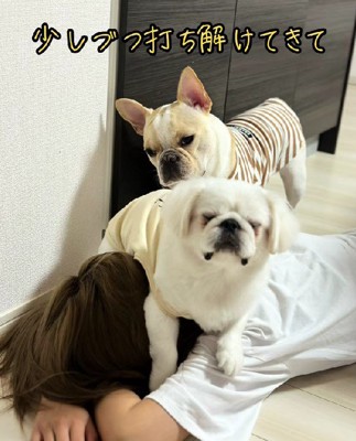 徐々に甘えん坊に