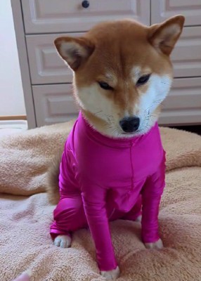 「コレジャナイ…」