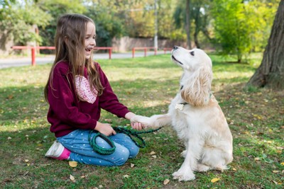 他所を見ながらお手をする犬