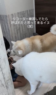 練習なんてできない