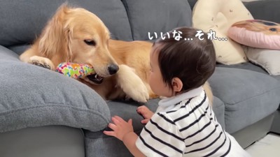 おもちゃが気になる