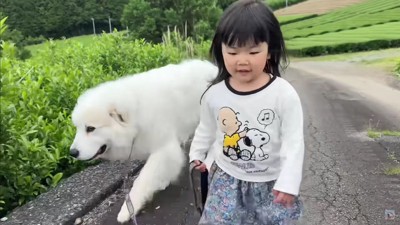 必ずLONOちゃんが前に…