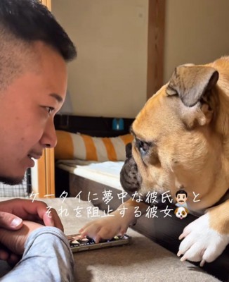 顔を上げて犬に視線を移す男性