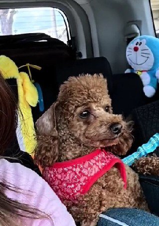 「言ってたのと違うやん…」