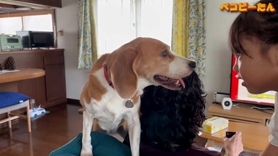 姪っ子ちゃんとの微笑ましい交流