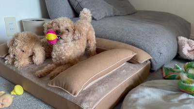 「ピカピカだ♡」