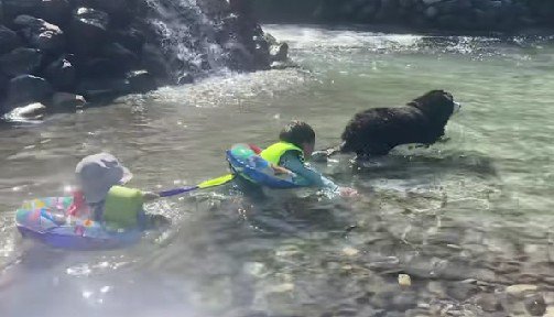 電車のような状態に