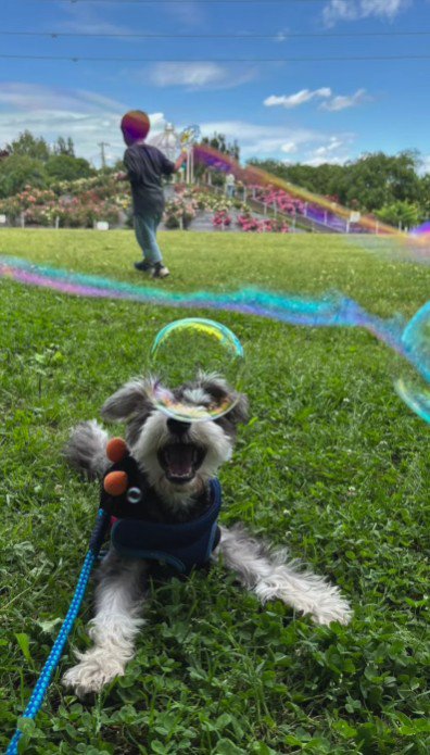 家族になれてよかった