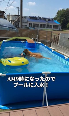 2人の女の子とシンバくんの夏休み4
