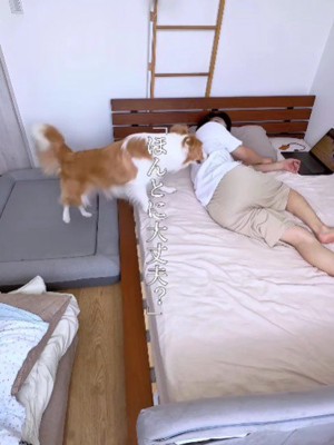 ラスカルちゃんが寄り添ってくれた