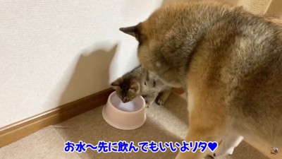 「いったん退くか…」