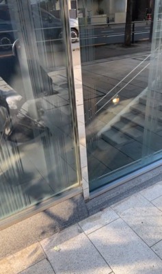 こたつ君と赤ちゃんの日常4