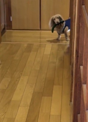 廊下の先には…