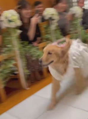 元気よく登場するも…