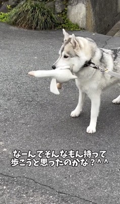 「さぁ行きましょう」