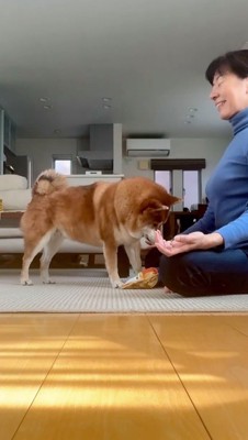 女性の足元に袋を落とす犬