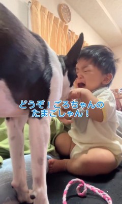 赤ちゃんが泣いた時のごろちゃん3