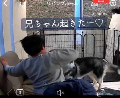 起きた息子さん