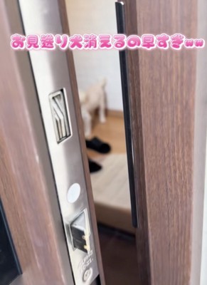 名残惜しいけれど、飼い主さんはドアを閉めます…