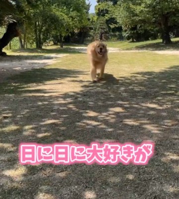 日に日に愛が増していく