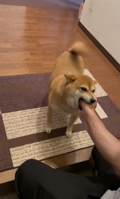 強火の愛がなせる技