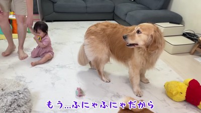 「え…お昼寝…?」