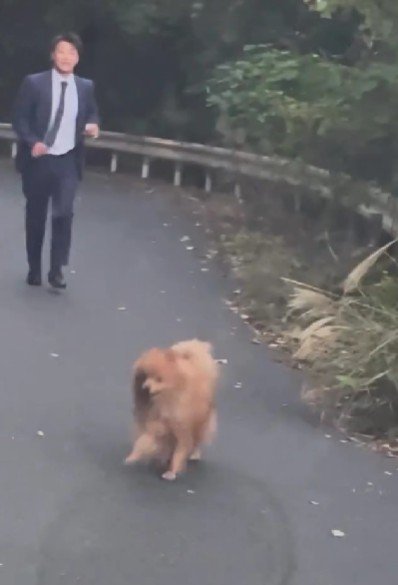 わんこを追いかける