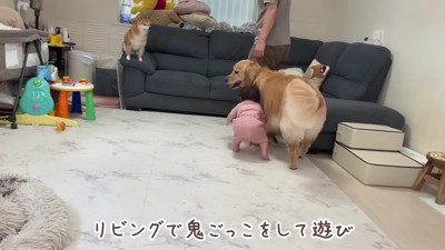 みんなで鬼ごっこ