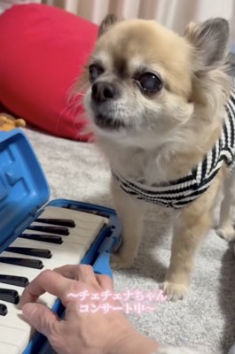 ずっと歌います