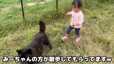 女の子が散歩されてるよう…(笑)