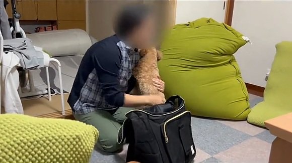 バッキーくんを抱っこしようとするお母さん