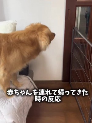 パパが帰ってきた!!