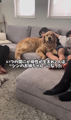 シンくんとお姉ちゃんたち3