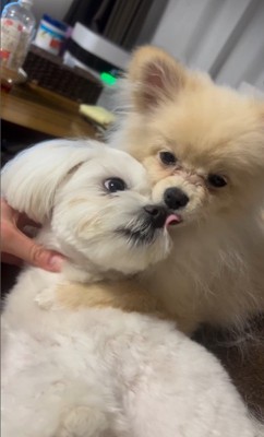 アムちゃんとアオくん3