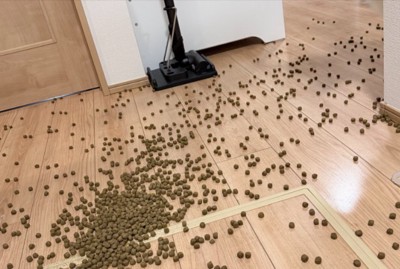 フードが散乱したお部屋