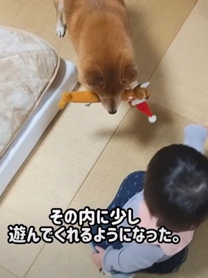一緒に遊ぶ姿が見られるように…