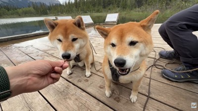 おやつを食べながら休憩中