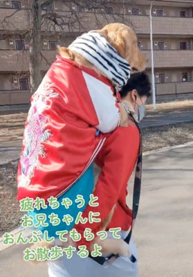 姿勢よくおんぶされる犬